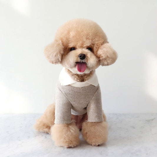 ※予約販売【Chiot】BLANC KNIT COLLAR T-SHIRT（Beige）