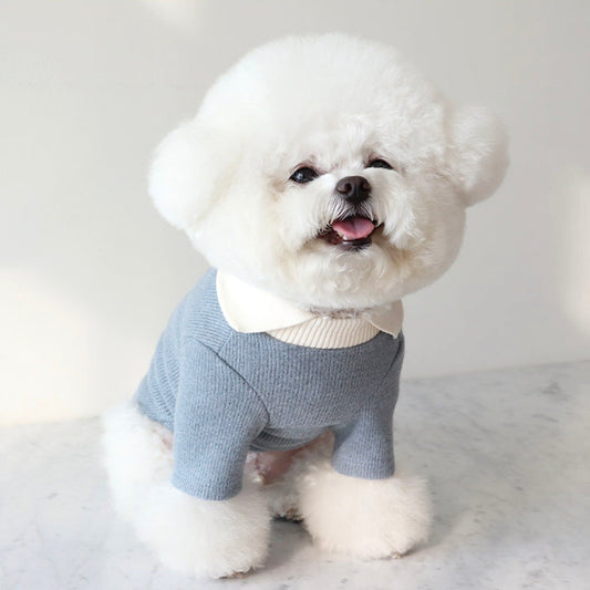 ※予約販売【Chiot】BLANC KNIT COLLAR T-SHIRT（Blue）