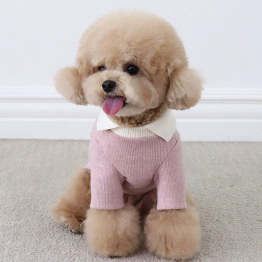 ※予約販売【Chiot】BLANC KNIT COLLAR T-SHIRT（Pink）