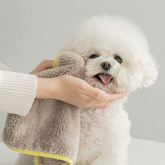 即納【BITE ME】Microfibre Pet Towel Dry Me Mini (2 pieces)