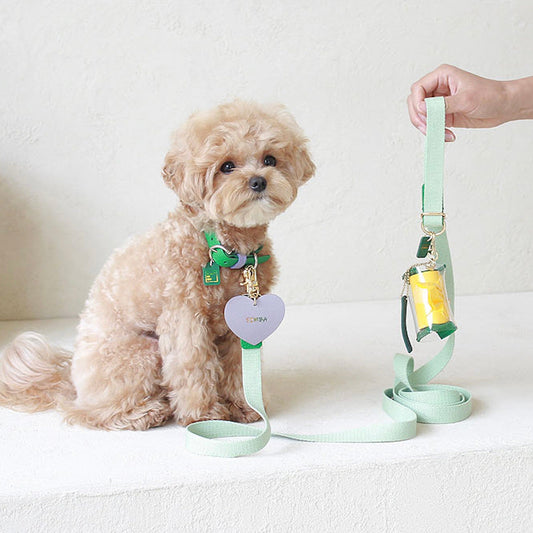 ※予約販売【maison de miu】Pet Color 4Way Lead (Mint / Green)