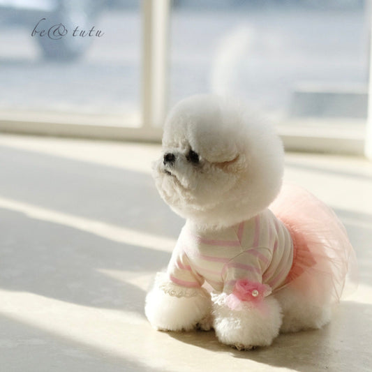 ※予約販売【BeBe Breath】be & tutu（Pink）