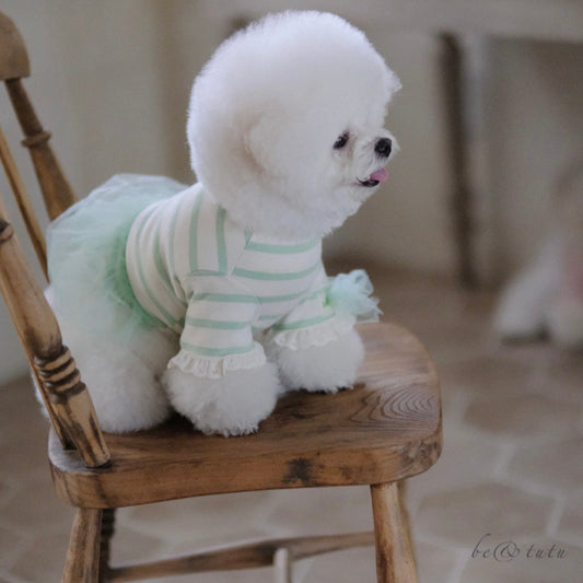 ※予約販売【BeBe Breath】be & tutu（Mint）
