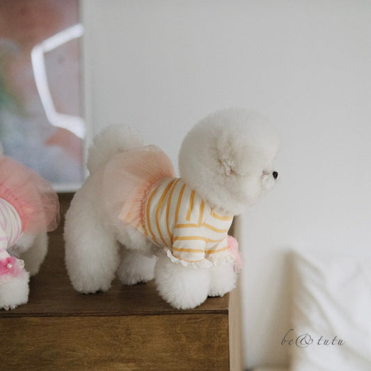 ※予約販売【BeBe Breath】be & tutu（Orange）