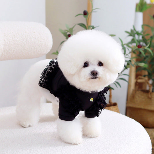 ※予約販売【GET BACK】Get heat crop T-shirt(Black)