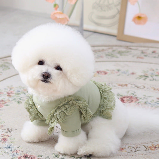 ※予約販売【GET BACK】Get heat crop T-shirt(Olive)