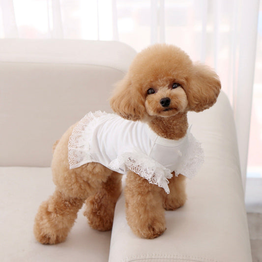 ※予約販売【GET BACK】Get heat sleeveless(White)