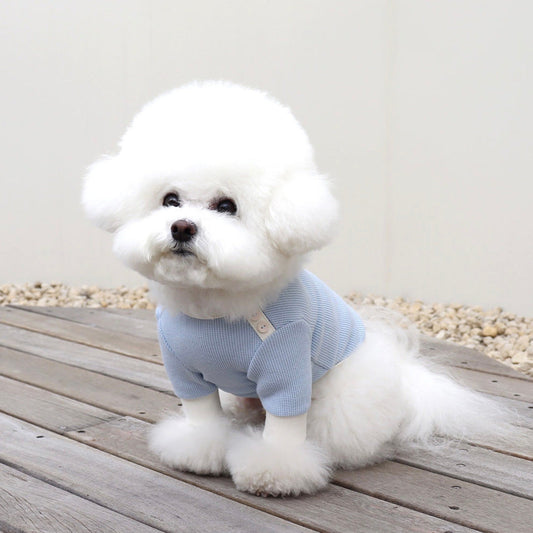 ※予約販売【Chiot】Sherbet waffle T-shirt(Blue Soda)