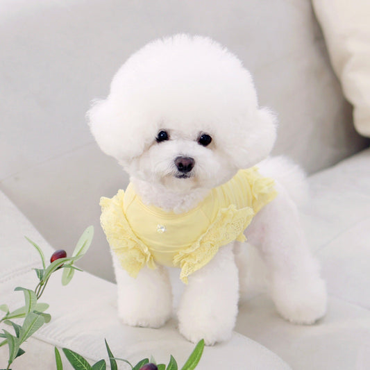 ※予約販売【GET BACK】Get heat sleeveless(Yellow)