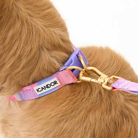 ※予約販売【iCANDOR】Gentle Collar Dual（MILKY WAY）