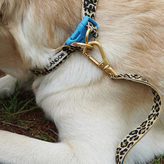 ※予約販売【iCANDOR】Gentle Leash Bolt（LEOPARD）