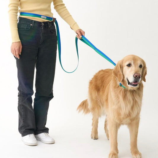 ※予約販売【iCANDOR】Gentle Leash Bolt（FOREST）