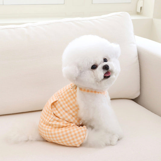 ※予約販売【Chiot】Together Check all in one(Orange)
