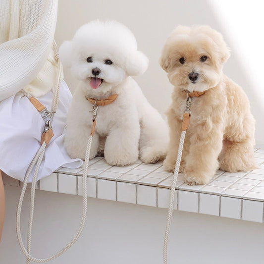 ※予約販売【STROLL】MULCH LEASH SUB（8color）
