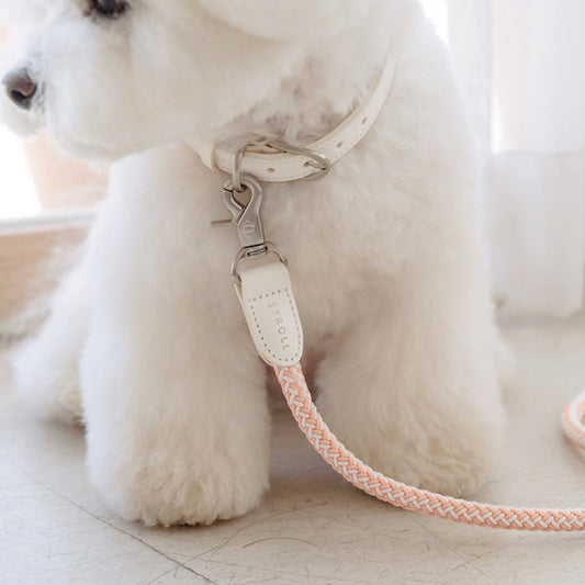 ※予約販売【STROLL】ROPE NECK COLLAR（Coral）