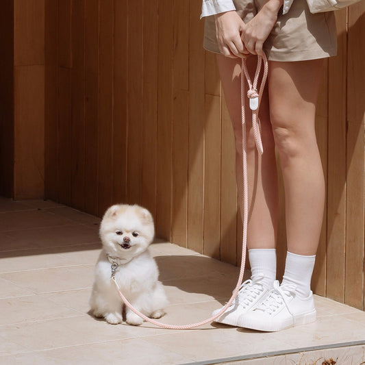 ※予約販売【STROLL】ROPE LEASH CLASSIC（Coral）