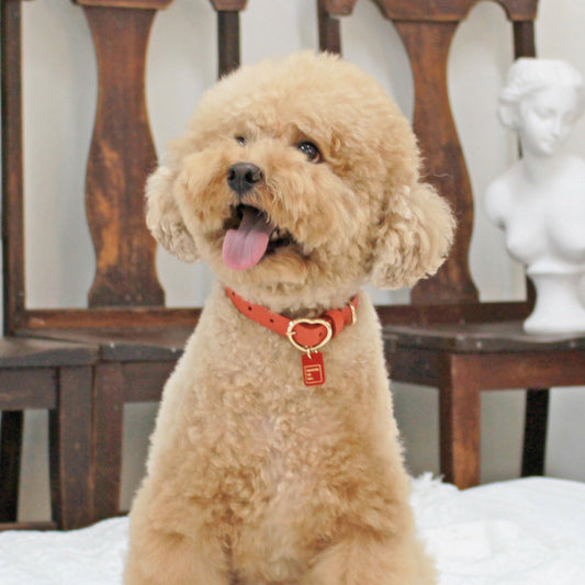 ※予約販売【maison de miu】 Heart Pendant Collar（Coral）