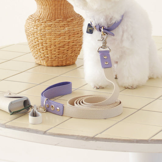 ※予約販売【maison de miu】 Running Mate Leather & Webbing Lead（Violet / Ivory）