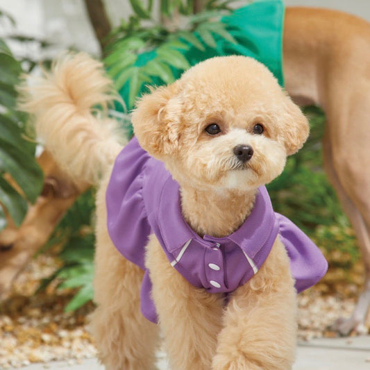 ※予約販売【MOI ET LE CHIEN】イニシャルワッペン付きデイリーPKワンピース（パープル）