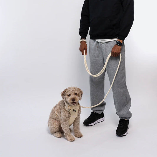 ※予約販売【RIFRUF】Commuter Leash（Bone）