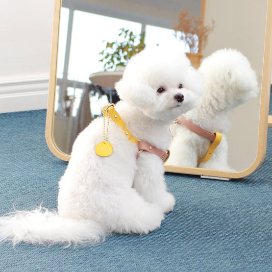 ※予約販売【maison de miu】 Running Mate Harness（Rose Pink / Yellow）