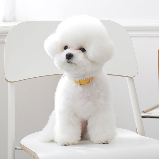 ※予約販売【maison de miu】Square Pearl Collar（Yellow）