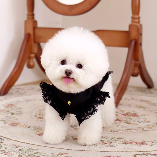 ※予約販売【GET BACK】Get heat sleeveless(Black)