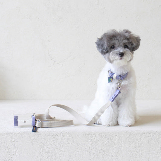 ※予約販売【maison de miu】Pet Color 4Way Lead (Ivory / Violet)