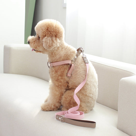 ※予約販売【maison de miu】 Running Mate Leather & Webbing Lead（Rose Pink / Brown）