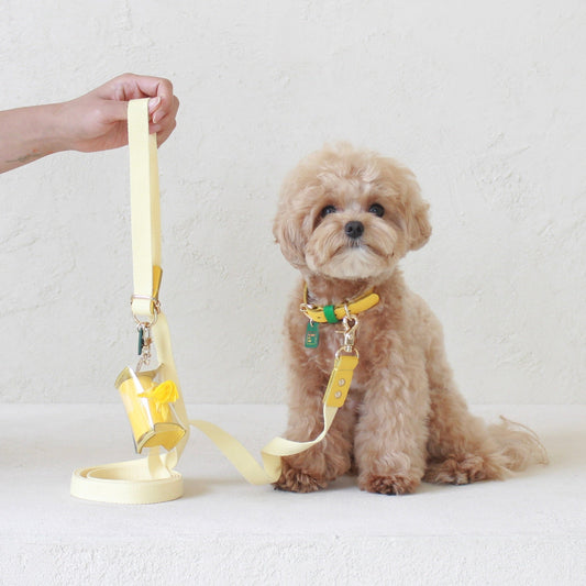 ※予約販売【maison de miu】Pet Color 4Way Lead (Lemon / Yellow)