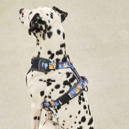 ※予約販売【andblank】Bebe Walrus Harness
