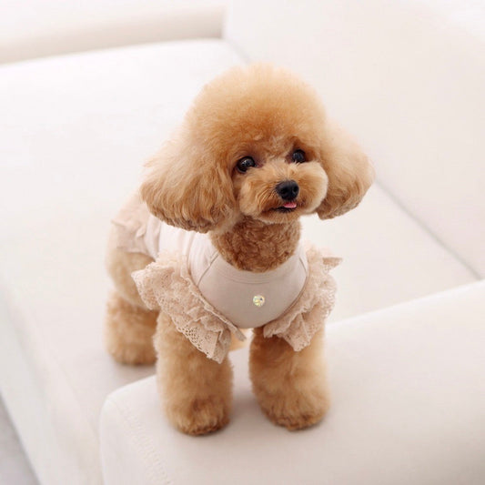 ※予約販売【GET BACK】Get heat sleeveless(Cream Beige)