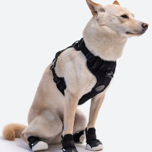 ※予約販売【RIFRUF】Commuter Harness（Black）