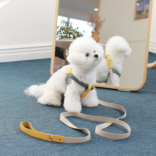 ※予約販売【maison de miu】 Running Mate Harness（Indian Blue / Yellow）