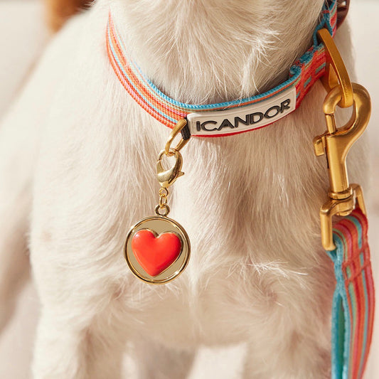 ※予約販売【iCANDOR】i heart pendant