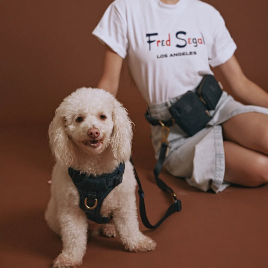 ※予約販売【max bone】Fred Segal x maxbone GO! With Ease Bundle