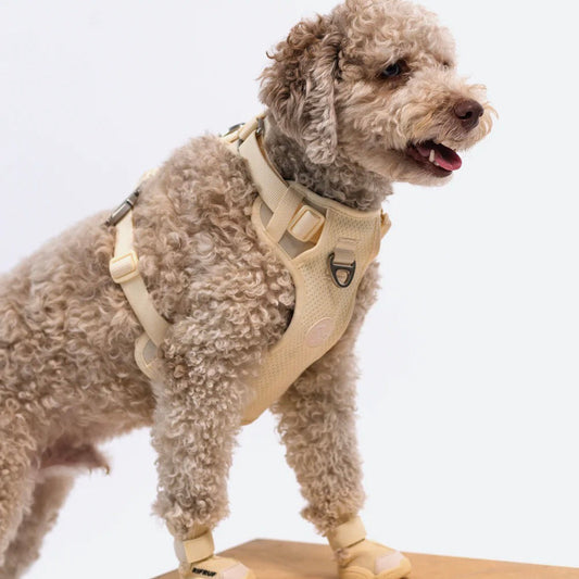 ※予約販売【RIFRUF】Commuter Harness（Bone）