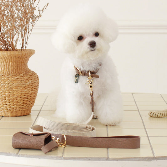 ※予約販売【maison de miu】 Running Mate Leather & Webbing Lead（Brown / Ivory）