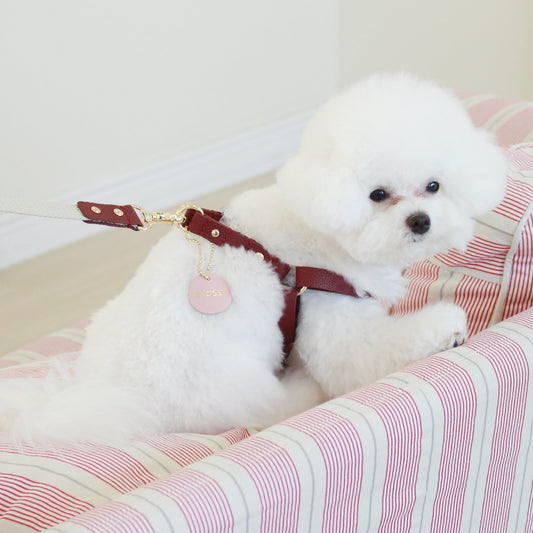 ※予約販売【maison de miu】 Running Mate Harness（Wine）
