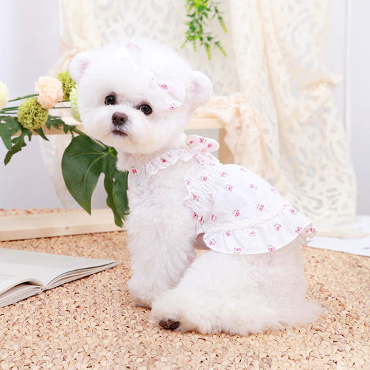 ※予約販売【GET BACK】サンシャインフラワーレースワンピース(ホワイト)