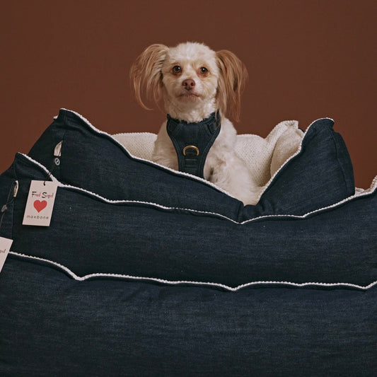 ※予約販売【max bone】Fred Segal x maxbone bed