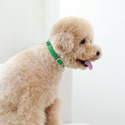 ※予約販売【maison de miu】Square Pearl Collar（Green）