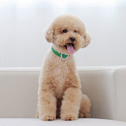 ※予約販売【maison de miu】 Heart Pearl Collar（Green）