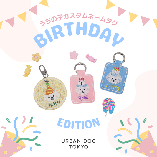 ※予約販売【cherry's cake】うちの子カスタムネームタグ(Birthday Edition)