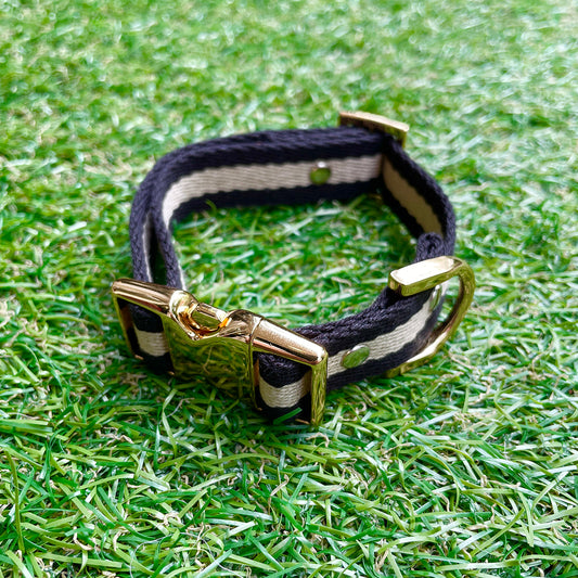 ※予約販売【HOSU】HOSU stripe dog collar(20mm)/Black×Ivory