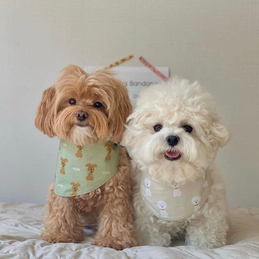即納【GOPE】Signature Dog Bandana（オリーブ）