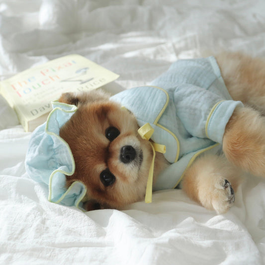 ※予約販売【Hi Yeboo】Sweet Dream Pajama（Alice Blue）