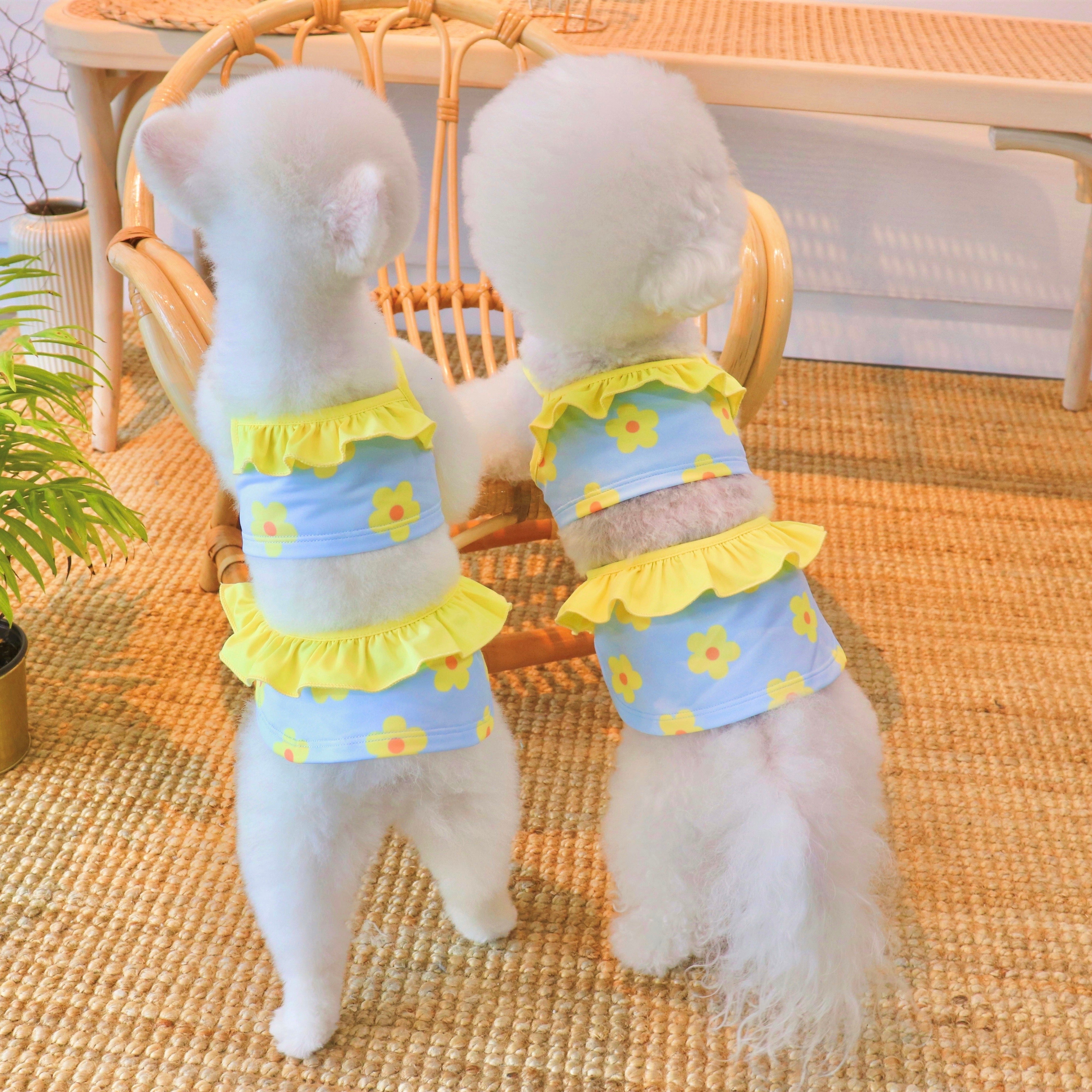 海外犬服 高品質なインポートのドッグウェア通販 URBAN DOG