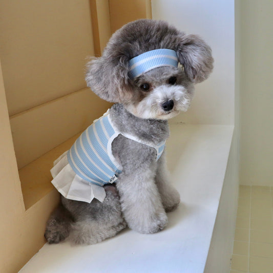 即納【Hi Yeboo】Tennis Wear（Blue）