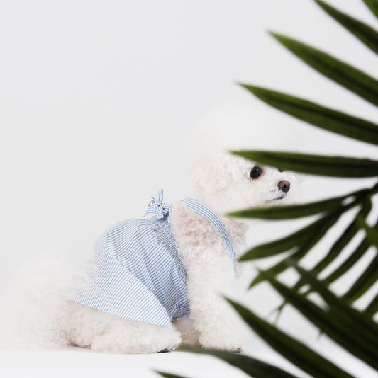 即納【Sniff】X STRAP STRIPE DRESS（ブルー）
